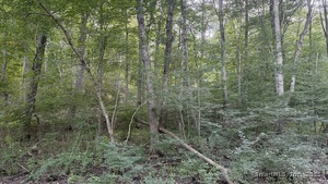 Homes for sale in Ledyard, CT | 74 Homestead Rd, Ledyard, CT 06339 | MLS# 24121451