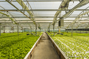 Homes for sale in Preston, CT | 57 Corner Rd, Preston, CT 06365 | MLS# 24121927