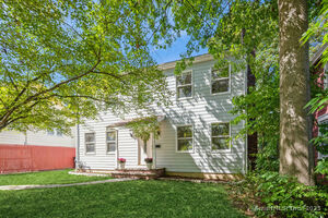 31 Chatfield Street