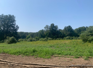 Homes for sale in East Lyme, CT | 223 N Bride Brook Rd, East Lyme, CT 06333 | MLS# 24120381