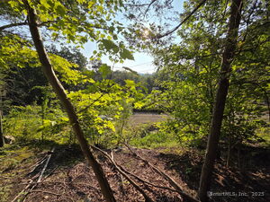 Homes for sale in New Milford, CT | 34 Front Of The Mountain Rd, New Milford, CT 06776 | MLS# 24122442