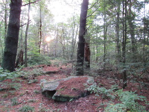 Homes for sale in Winchester, CT | 7 Stadler Hts, Winchester, CT 06098 | MLS# 24122124