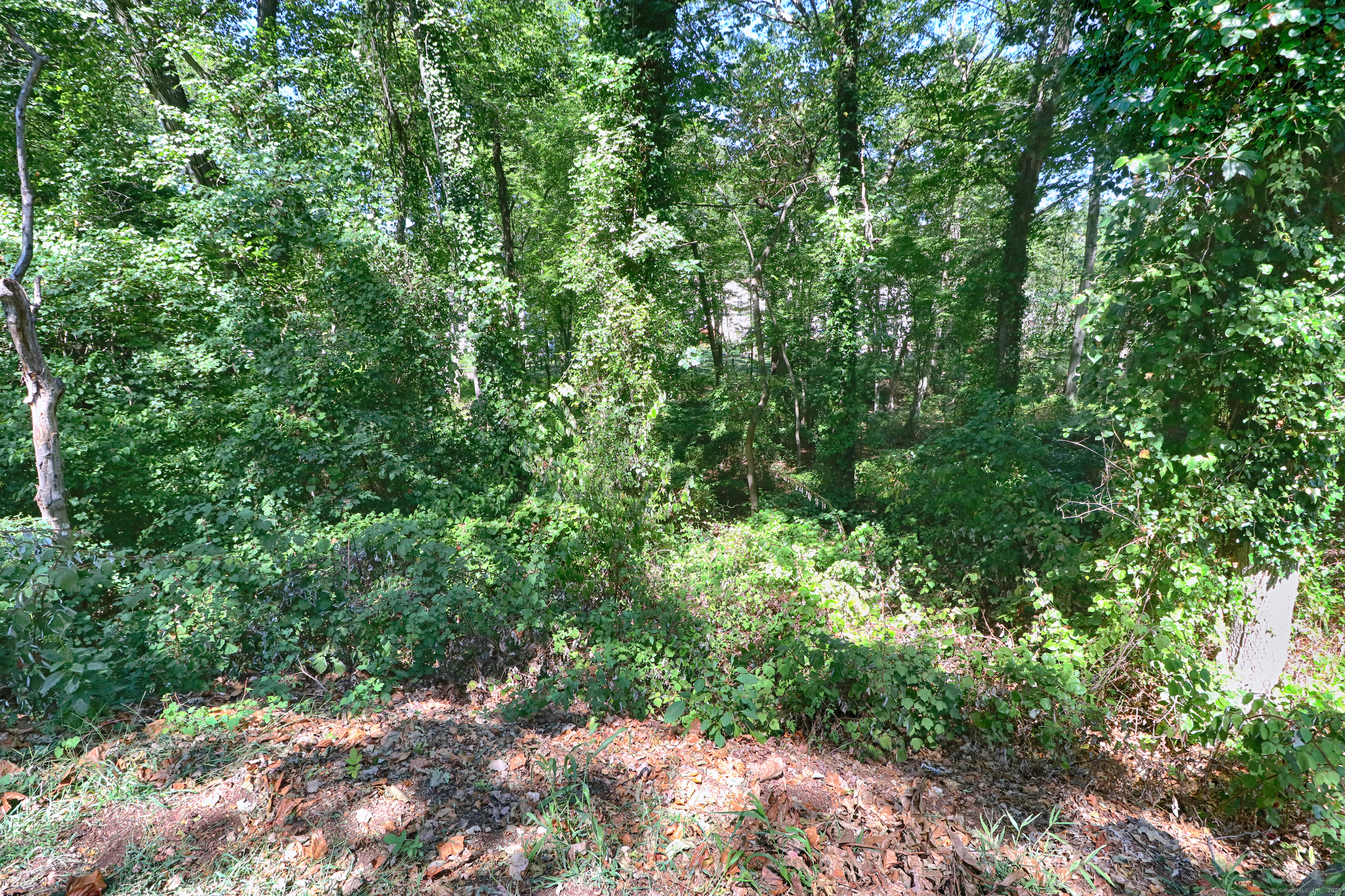 Photo 17 of 20 Ermine Street, Fairfield, CT