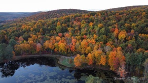 Homes for sale in New Milford, CT | 62 Big Bear Hill Rd, New Milford, CT 06776 | MLS# 24121264