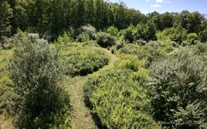 Homes for sale in Bethel, CT | (Undisclosed), Bethel, CT 06801 | MLS# 24121758