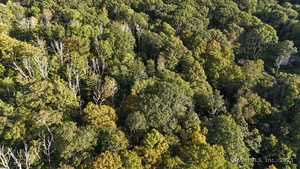 Homes for sale in Torrington, CT | 1739 Weed Rd, Torrington, CT 06790 | MLS# 24123697