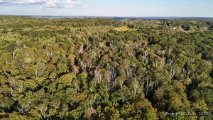 Homes for sale in Torrington, CT | 1739 Weed Rd, Torrington, CT 06790 | MLS# 24123697