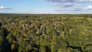 Homes for sale in Torrington, CT | 1739 Weed Rd, Torrington, CT 06790 | MLS# 24123697