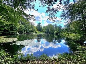 Homes for sale in Killingly, CT | 1415 North Rd, Killingly, CT 06241 | MLS# 24123835