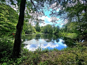 Homes for sale in Killingly, CT | 1415 North Rd, Killingly, CT 06241 | MLS# 24123835