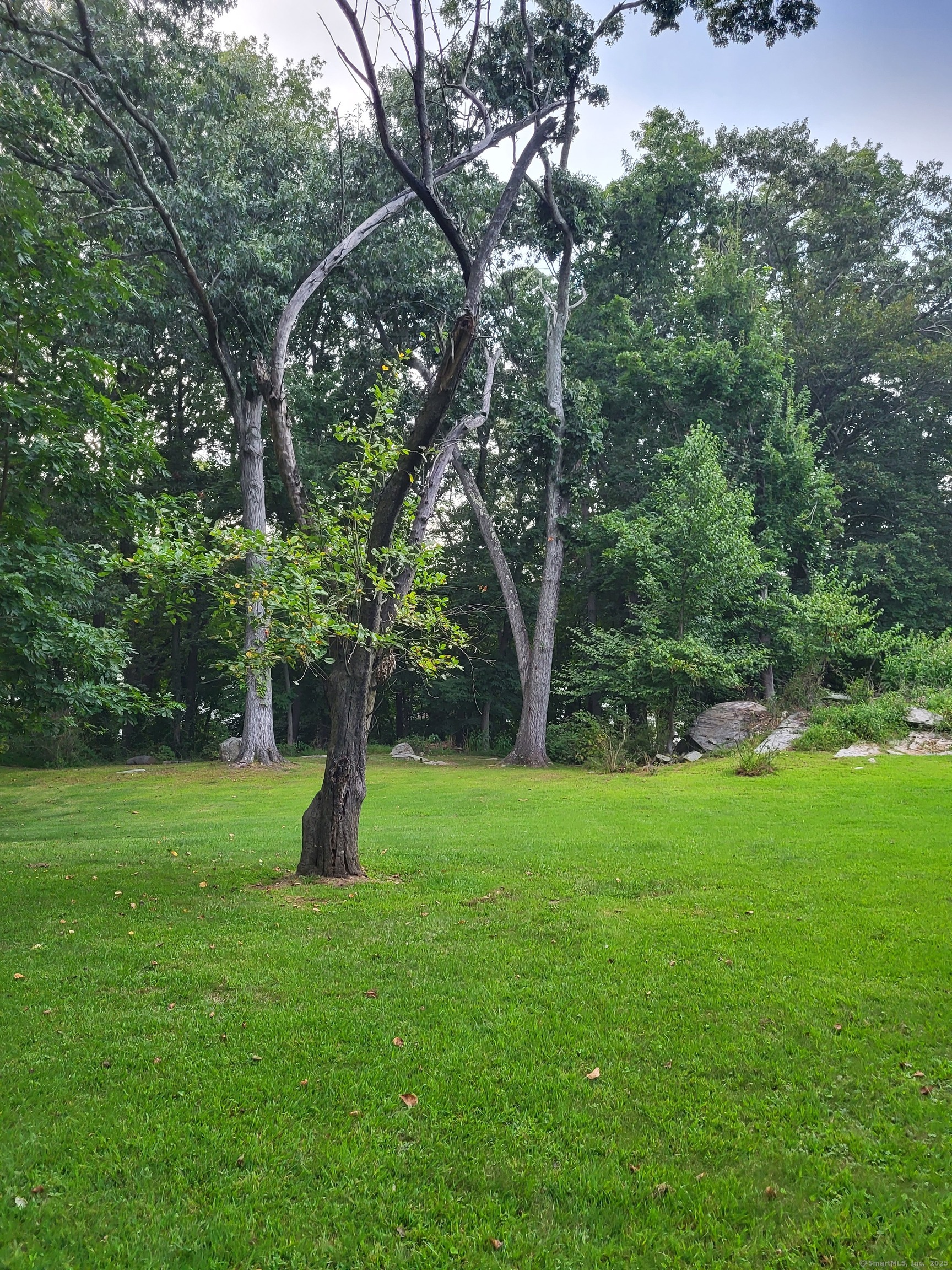 Photo 11 of 20 Ermine Street, Fairfield, CT