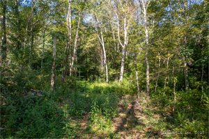 Homes for sale in Canterbury, CT | Bennett Pond Rd, Canterbury, CT 06331 | MLS# 24124009