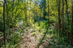 Homes for sale in Canterbury, CT | Bennett Pond Rd, Canterbury, CT 06331 | MLS# 24124009