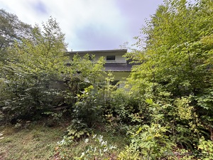 85 Knapp Street