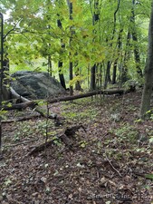 Homes for sale in New Hartford, CT | 208 South Rd, New Hartford, CT 06057 | MLS# 24125571