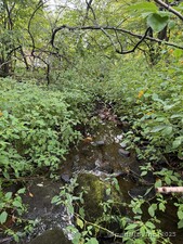 Homes for sale in New Hartford, CT | 208 South Rd, New Hartford, CT 06057 | MLS# 24125571