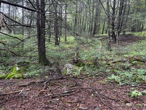 Homes for sale in New Hartford, CT | 208 South Rd, New Hartford, CT 06057 | MLS# 24125571