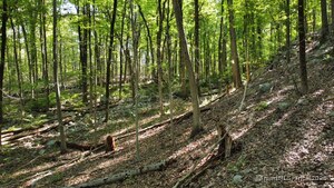 Homes for sale in Wilton, CT | 106 Graenest Ridge Rd, Wilton, CT 06897 | MLS# 24125769