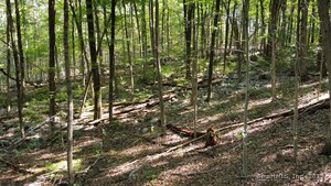 Homes for sale in Wilton, CT | 106 Graenest Ridge Rd, Wilton, CT 06897 | MLS# 24125769