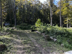 Homes for sale in Southbury, CT | 280 Jeremy Swamp Rd, Southbury, CT 06488 | MLS# 24125621