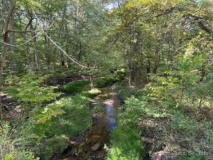 Homes for sale in Montville, CT | 87 Fort Shantok Rd, Montville, CT 06382 | MLS# 24126261