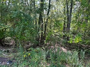 Homes for sale in Montville, CT | 87 Fort Shantok Rd, Montville, CT 06382 | MLS# 24126261