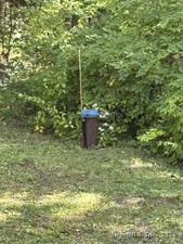 Homes for sale in Torrington, CT | 168 Newfield Rd, Torrington, CT 06790 | MLS# 24126416