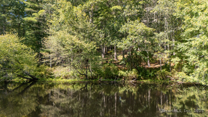 Homes for sale in Killingly, CT | 49 Stone Rd, Killingly, CT 06241 | MLS# 24126540