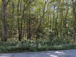 Homes for sale in Stonington, CT | 301 Montauk Ave, Stonington, CT 06378 | MLS# 24126970