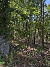 Homes for sale in Stonington, CT | 301 Montauk Ave, Stonington, CT 06378 | MLS# 24126970