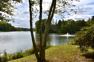 Homes for sale in Woodbury, CT | 8 Tamarack Ln #8, Woodbury, CT 06798 | MLS# 24123507