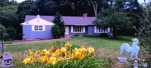 Homes for sale in Brooklyn, CT | 414 Canterbury Rd, Brooklyn, CT 06234 | MLS# 24127720