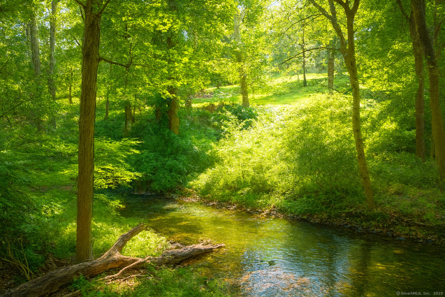 Homes for sale in Westport, CT | 30 Cavalry Rd, Westport, CT 06880 | MLS# 24127909