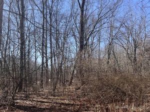 Homes for sale in Bloomfield, CT | 53 Hillcrest Ave, Bloomfield, CT 06002 | MLS# 24128024