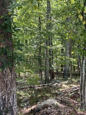 Homes for sale in Waterford, CT | 77 Foster Rd, Waterford, CT 06385 | MLS# 24127953