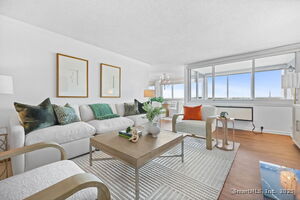 1 Strawberry Hill Avenue, Unit APT 16B