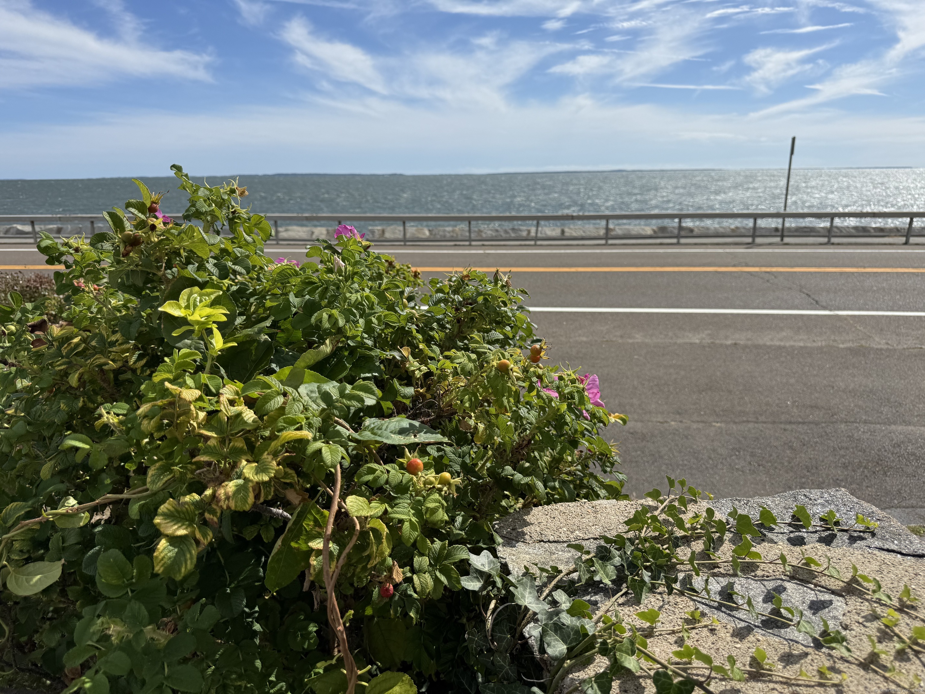 1 Fenwood, Old Saybrook, 06475, 4 Bedrooms Bedrooms, 0 ,3 BathroomsBathrooms,Residential Rental,For Sale,Fenwood,0,24128736