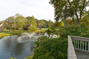 Homes for sale in Southbury, CT | 254 Heritage Vlg #D, Southbury, CT 06488 | MLS# 24129095