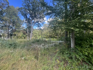 Homes for sale in Hebron, CT | Deepwood Dr, Hebron, CT 06248 | MLS# 24128912