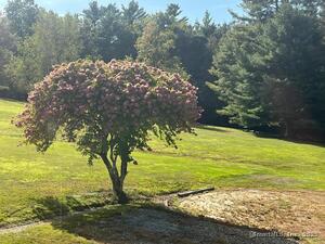 Homes for sale in Stafford, CT | 174 Stafford St, Stafford, CT 06076 | MLS# 24129231