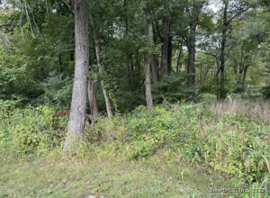 Homes for sale in Tolland, CT | 64 Columbine Rd, Tolland, CT 06084 | MLS# 24129529