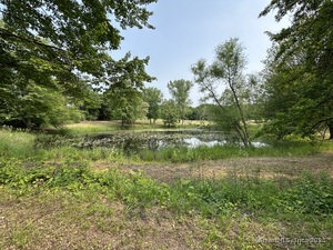 Homes for sale in Windsor, CT | 490 Old Day Hill Rd, Windsor, CT 06095 | MLS# 24101408