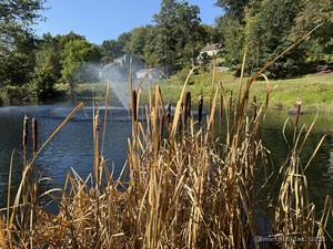 Homes for sale in Southbury, CT | 254 Heritage Vlg #D, Southbury, CT 06488 | MLS# 24129095