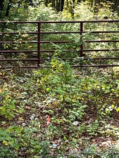 Homes for sale in Wolcott, CT | Coe Rd, Wolcott, CT 06716 | MLS# 24129016