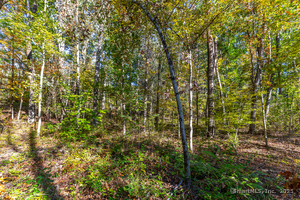 Homes for sale in Salisbury, CT | 000 Undermountain Rd, Salisbury, CT 06068 | MLS# 24130003