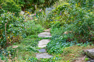 Homes for sale in Morris, CT | 107 Island Trl, Morris, CT 06763 | MLS# 24129369