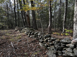 Homes for sale in Winchester, CT | 000000 Norfolk Rd, Winchester, CT 06098 | MLS# 24131284