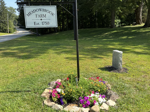 Homes for sale in Canterbury, CT | 393 N Canterbury Rd, Canterbury, CT 06331 | MLS# 24111552