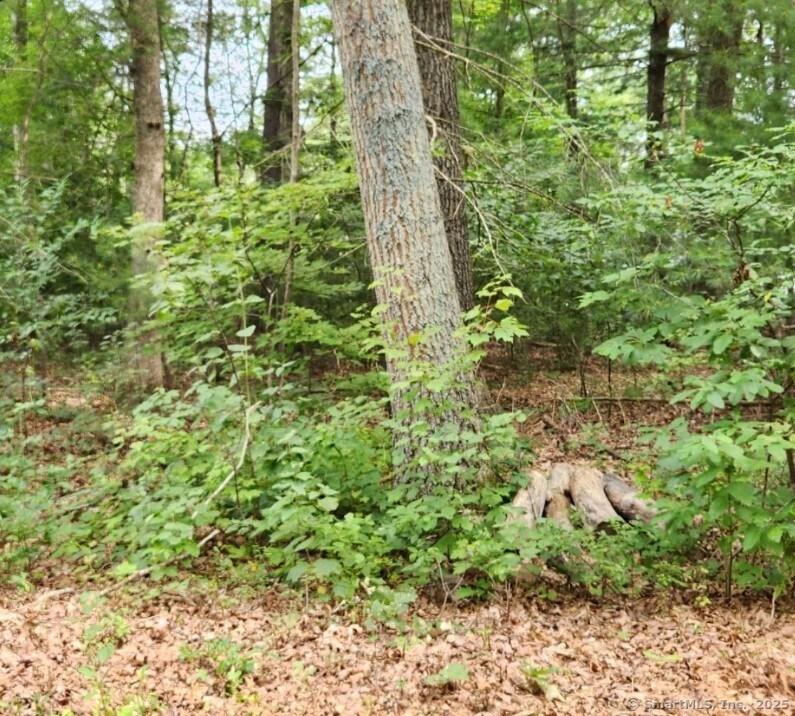 Photo 2 of Oak Drive, Mansfield, CT