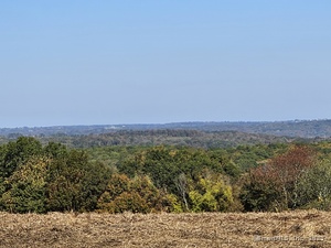 Homes for sale in Roxbury, CT | Booth Rd, Roxbury, CT 06783 | MLS# 24093092